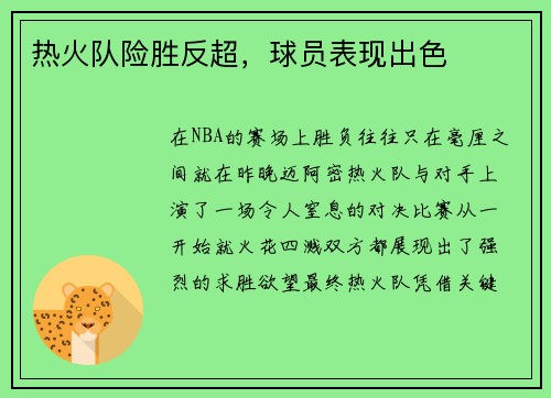热火队险胜反超，球员表现出色